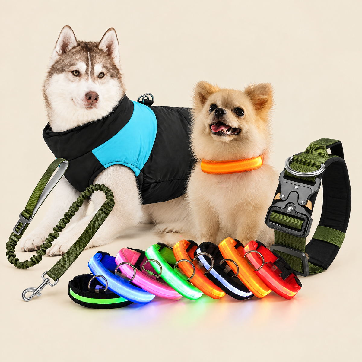 Pet gear and apparel: winter jacket, LED collars and bungee leash