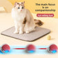 Bite-Resistant Bouncing Cat Ball with Rope