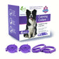 Calming Collar for Cats & Dogs