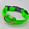 LED Light-Up Dog & Cat Collar (USB Rechargeable or Battery)