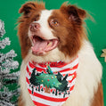Cartoon Print Pet Bandana Scarf