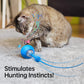 Smart Rolling Cat Ball with Tail & Sounds, Rechargeable
