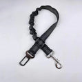Reflective Bungee Dog Leash & Car Seat Belt
