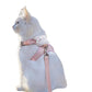 Escape-Proof Cat Harness & Leash Set
