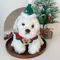 Hand-Crocheted Christmas Pet Collar & Hat Set