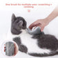 Corner Cat Self-Groomer & Scratcher Brush with Catnip