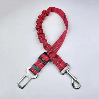 Reflective Bungee Dog Leash & Car Seat Belt