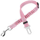 Reflective Bungee Dog Leash & Car Seat Belt