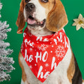 Cartoon Print Pet Bandana Scarf
