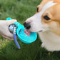 Stainless Steel Portable Dog Water Bottle (285ml)