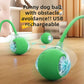 Self-Play Bouncing Cat Ball with Rope