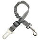 Reflective Bungee Dog Leash & Car Seat Belt