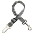 Reflective Bungee Dog Leash & Car Seat Belt