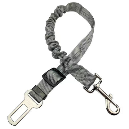 Reflective Bungee Dog Leash & Car Seat Belt