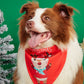 Cartoon Print Pet Bandana Scarf