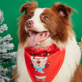 Cartoon Print Pet Bandana Scarf