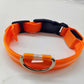 LED Light-Up Dog & Cat Collar (USB Rechargeable or Battery)