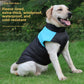 Color-Block Padded Winter Dog Jacket
