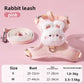 Escape-Proof Cat Harness & Leash Set