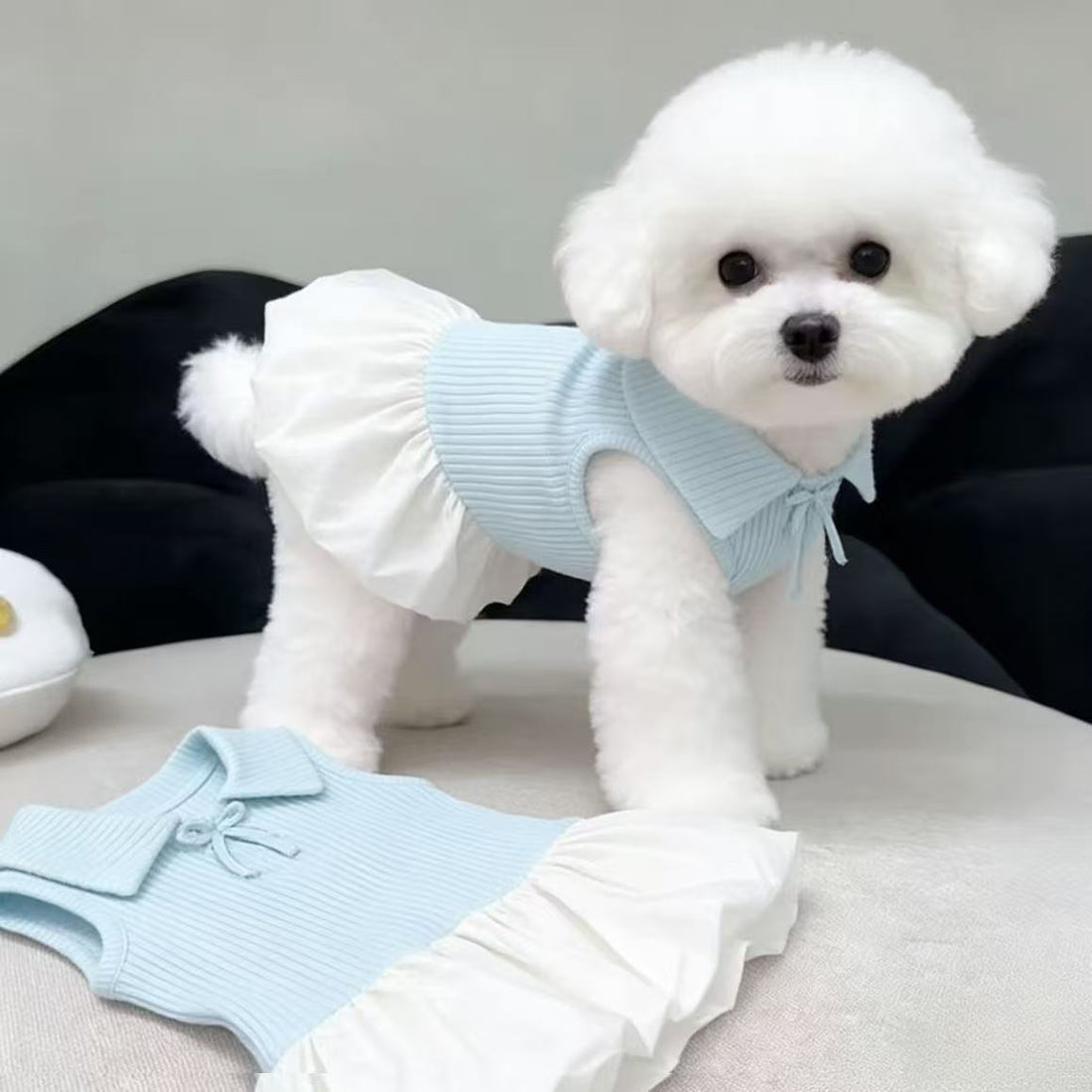 Polo Collar Dress for Small Dogs & Cats