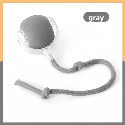 Smart Motion-Sensor Cat Toy Ball with Teaser Cord