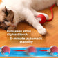 Self-Play Bouncing Cat Ball with Rope