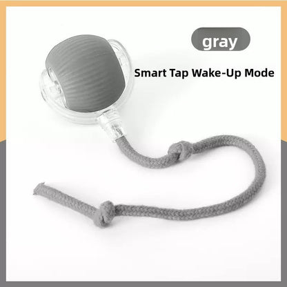 Smart Motion-Sensor Cat Toy Ball with Teaser Cord
