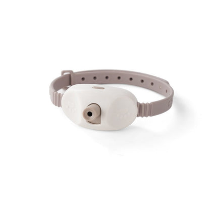 Laser Cat Collar Toy, USB-C Rechargeable