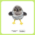Flapping Bird Cat Toy with Sound, USB Rechargeable