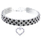 Sparkle Stretch Pet Necklace Collar with Charm