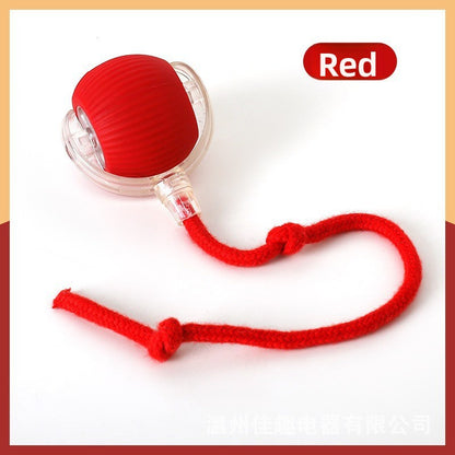 Self-Play Bouncing Cat Ball with Rope