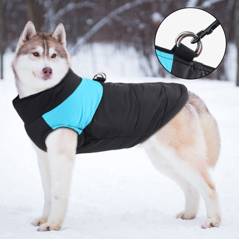 Color-Block Padded Winter Dog Jacket