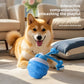 Interactive Self-Rolling Dog Ball, USB Rechargeable