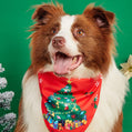 Cartoon Print Pet Bandana Scarf