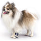 Dog Front Leg Compression Brace