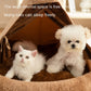 Enclosed Teddy Bear Winter Pet Tent for Small & Medium Dogs