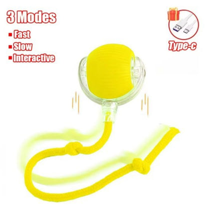 Smart Motion-Sensor Cat Toy Ball with Teaser Cord