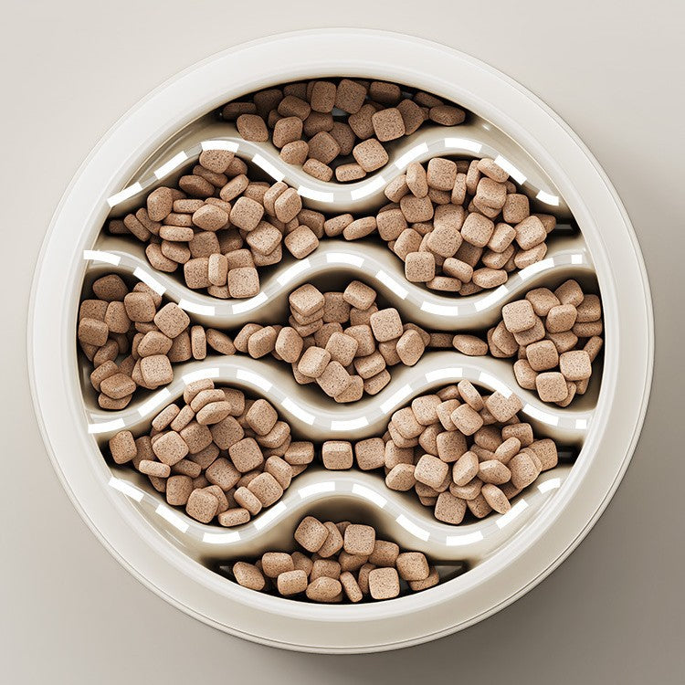 Non-Slip Slow Feeder Bowl for Cats & Dogs