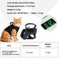 Breathable No-Choke Vest Harness for Small Dogs & Cats