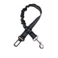 Reflective Bungee Dog Leash & Car Seat Belt