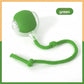 Smart Motion-Sensor Cat Toy Ball with Teaser Cord
