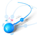 Smart Rolling Cat Ball with Tail & Sounds, Rechargeable