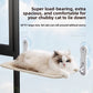 Suction Cup Window Perch for Cats