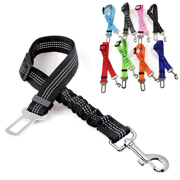 Reflective Bungee Dog Leash & Car Seat Belt