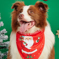 Cartoon Print Pet Bandana Scarf