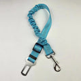 Reflective Bungee Dog Leash & Car Seat Belt