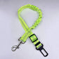 Reflective Bungee Dog Leash & Car Seat Belt