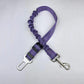 Reflective Bungee Dog Leash & Car Seat Belt