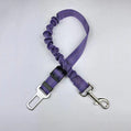 Reflective Bungee Dog Leash & Car Seat Belt