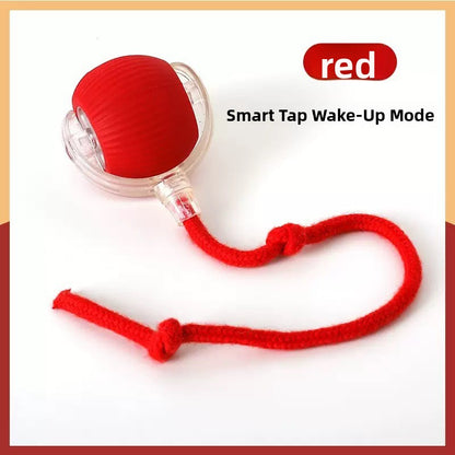 Smart Motion-Sensor Cat Toy Ball with Teaser Cord